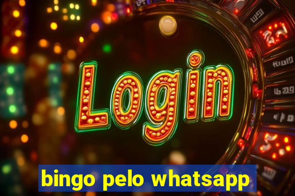 bingo pelo whatsapp